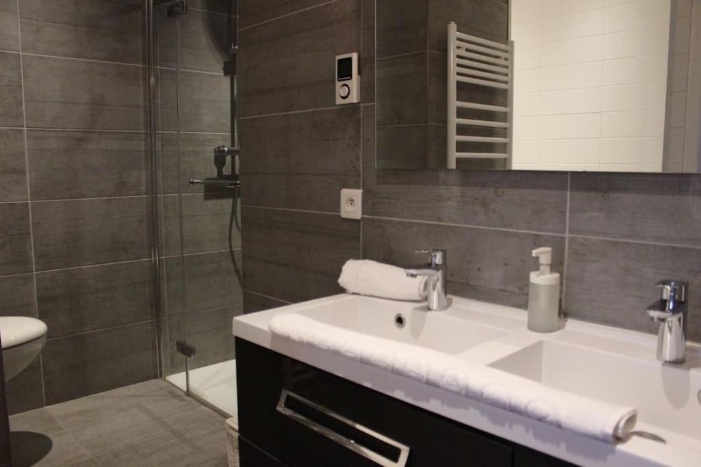Le Jane : Centre Ville, Garage, Balcon Annecy Exterior foto